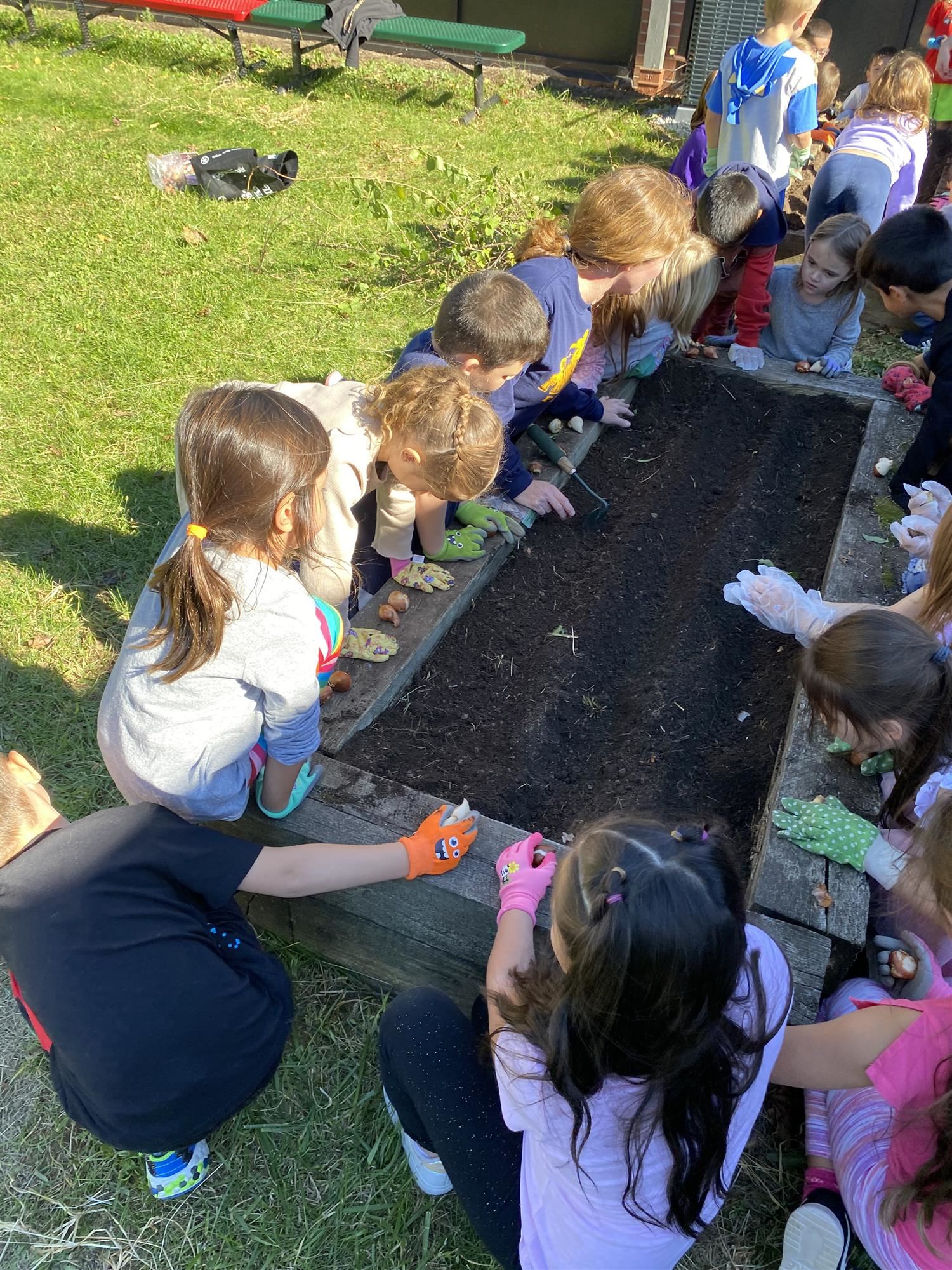 First graders plant their herbs